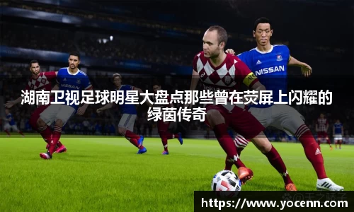 湖南卫视足球明星大盘点那些曾在荧屏上闪耀的绿茵传奇
